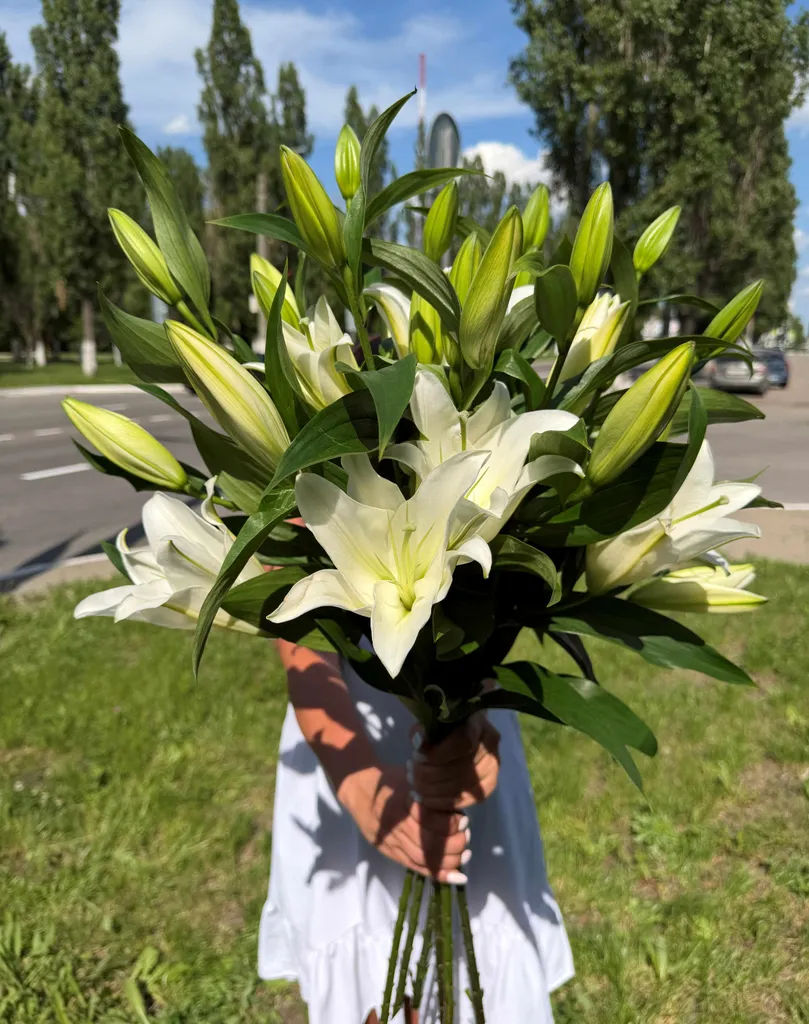 Лилии импортные. Цена указана за одну ветку.